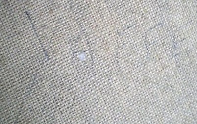 Yaffe canvas signature